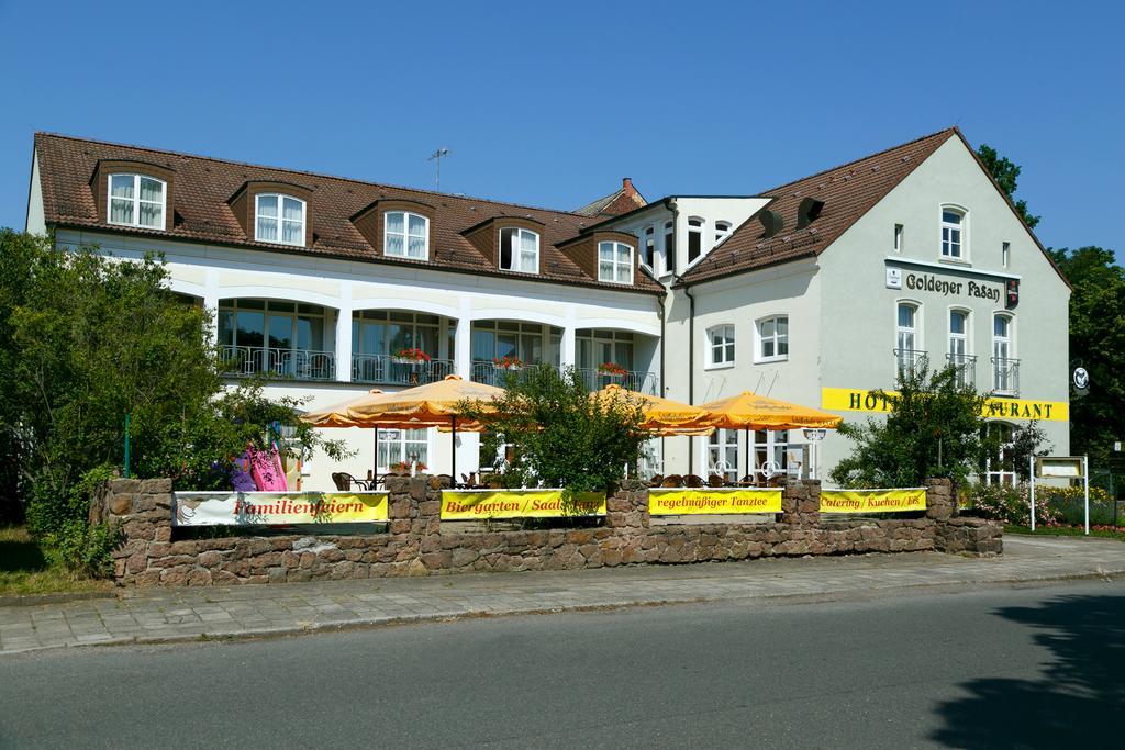 Hotel Goldener Fasan Oranienbaum-Woerlitz Екстериор снимка