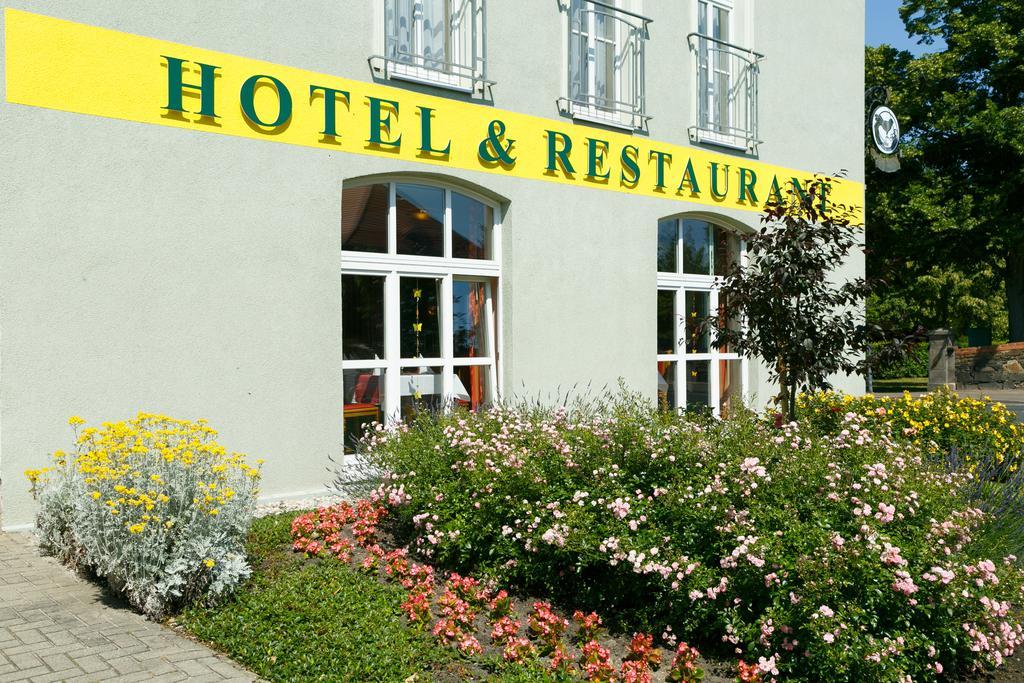 Hotel Goldener Fasan Oranienbaum-Woerlitz Екстериор снимка