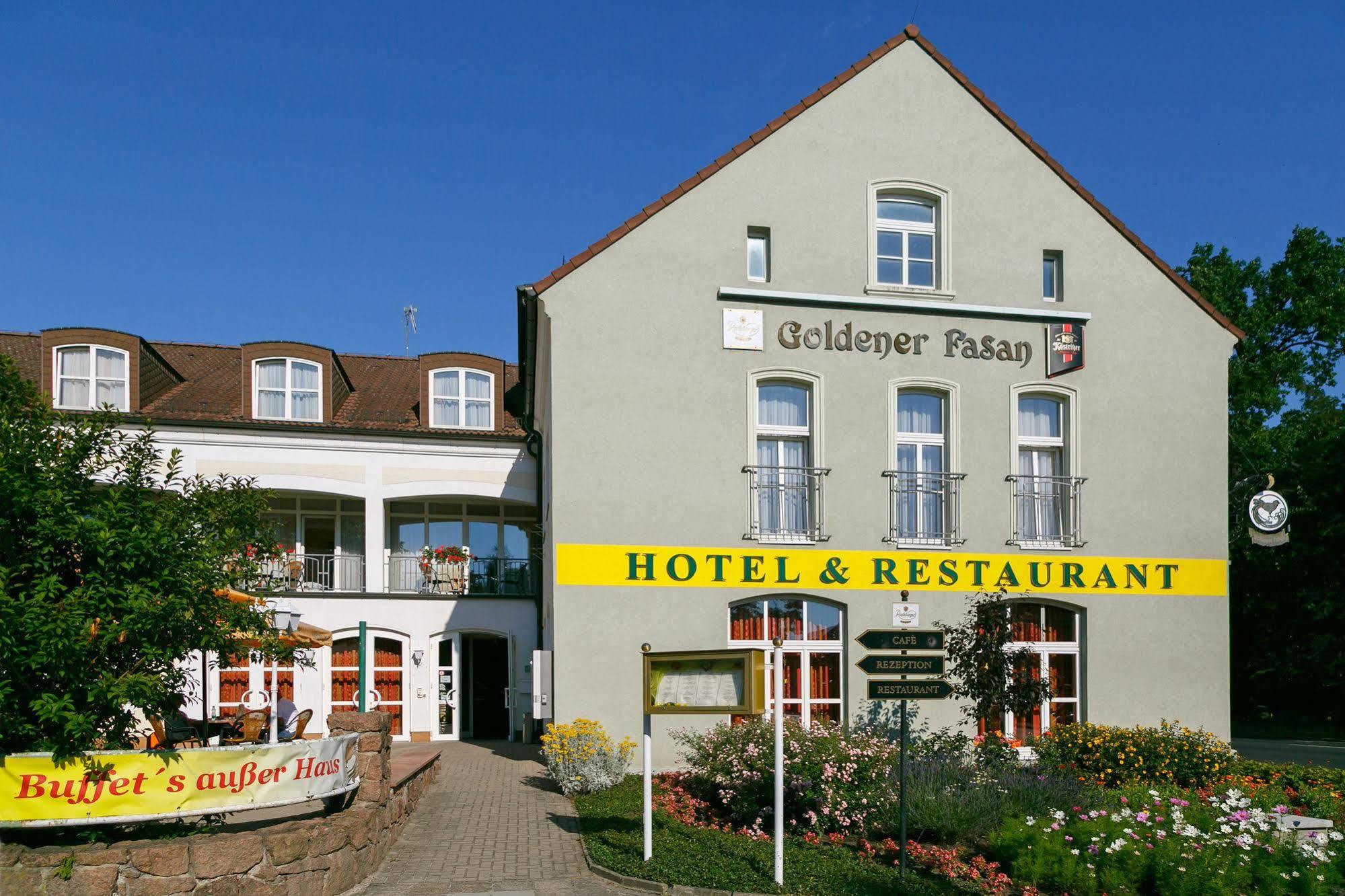 Hotel Goldener Fasan Oranienbaum-Woerlitz Екстериор снимка